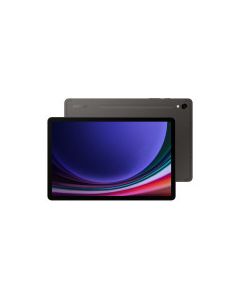 Планшет Samsung Galaxy Tab S9 5G 12GB/256GB Graphite (SM-X716BZAESEK)