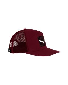 Кепка Salewa Pure Salamander Logo Wms 28420 1570 UNI58 (013.012.0503)