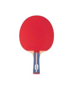 Ракетка для настільного тенісу Gewo Standard Pro FL (600300001) (931331)